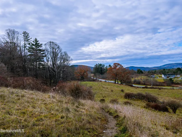 a view of a field with an ocean
