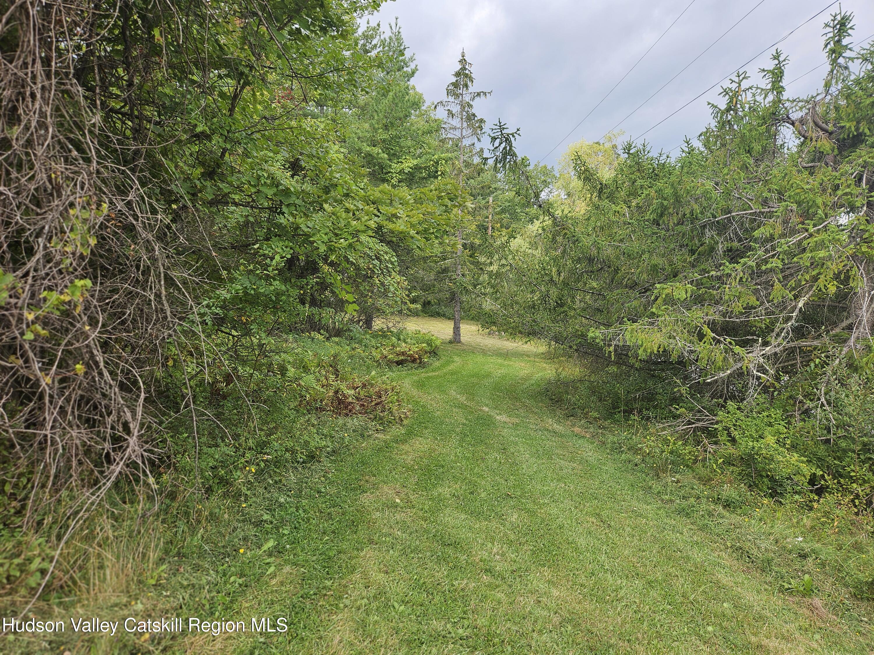 20 Reich Road Cornwallville, NY 12418 - Photo 51 of 53 Spacious Land