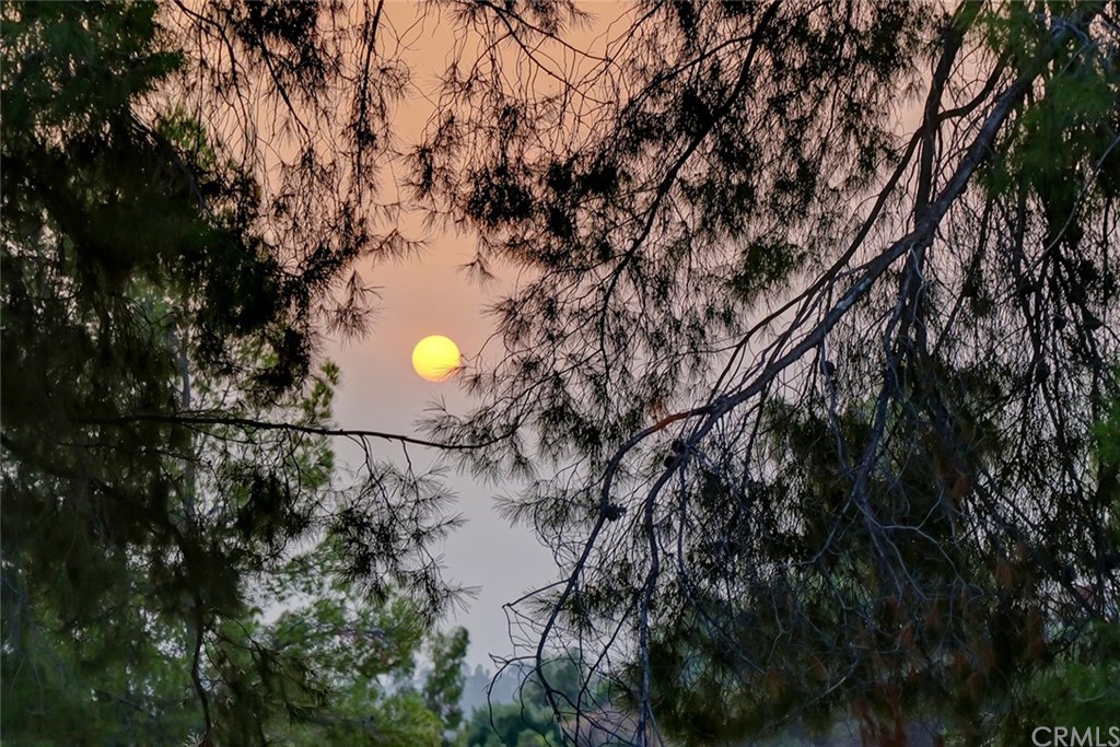 4413 Grimes Place Encino, CA 91316 - Photo 26 of 26 a view of yard from a lake