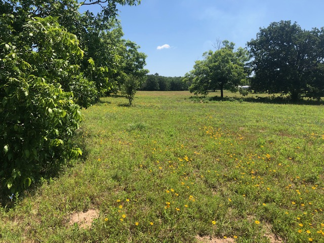 -henry Prairie Rd Henry Prairie Road, Unit COUNTYROAD Franklin, TX 77856 - Photo 3 of 17