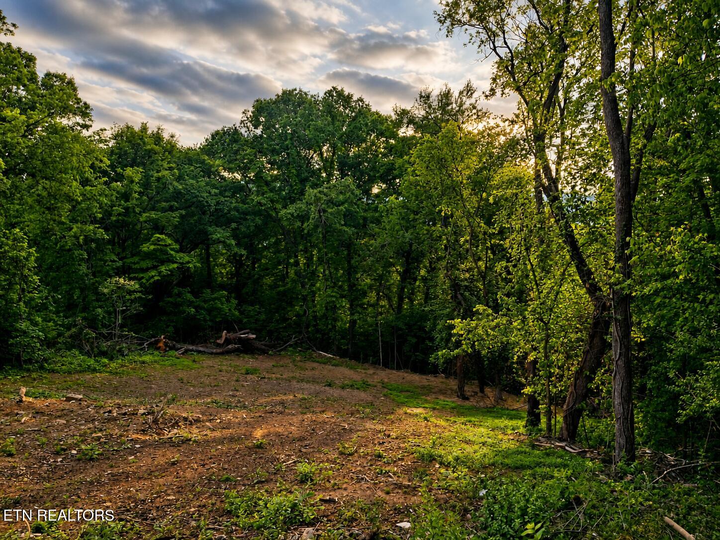 147 Stephens Road Rocky Top, TN 37769 - Photo 1 of 4 1000046894