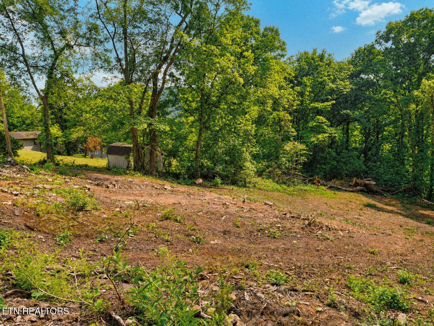 147 Stephens Road Rocky Top, TN 37769 - Photo 3 of 4 1000046899