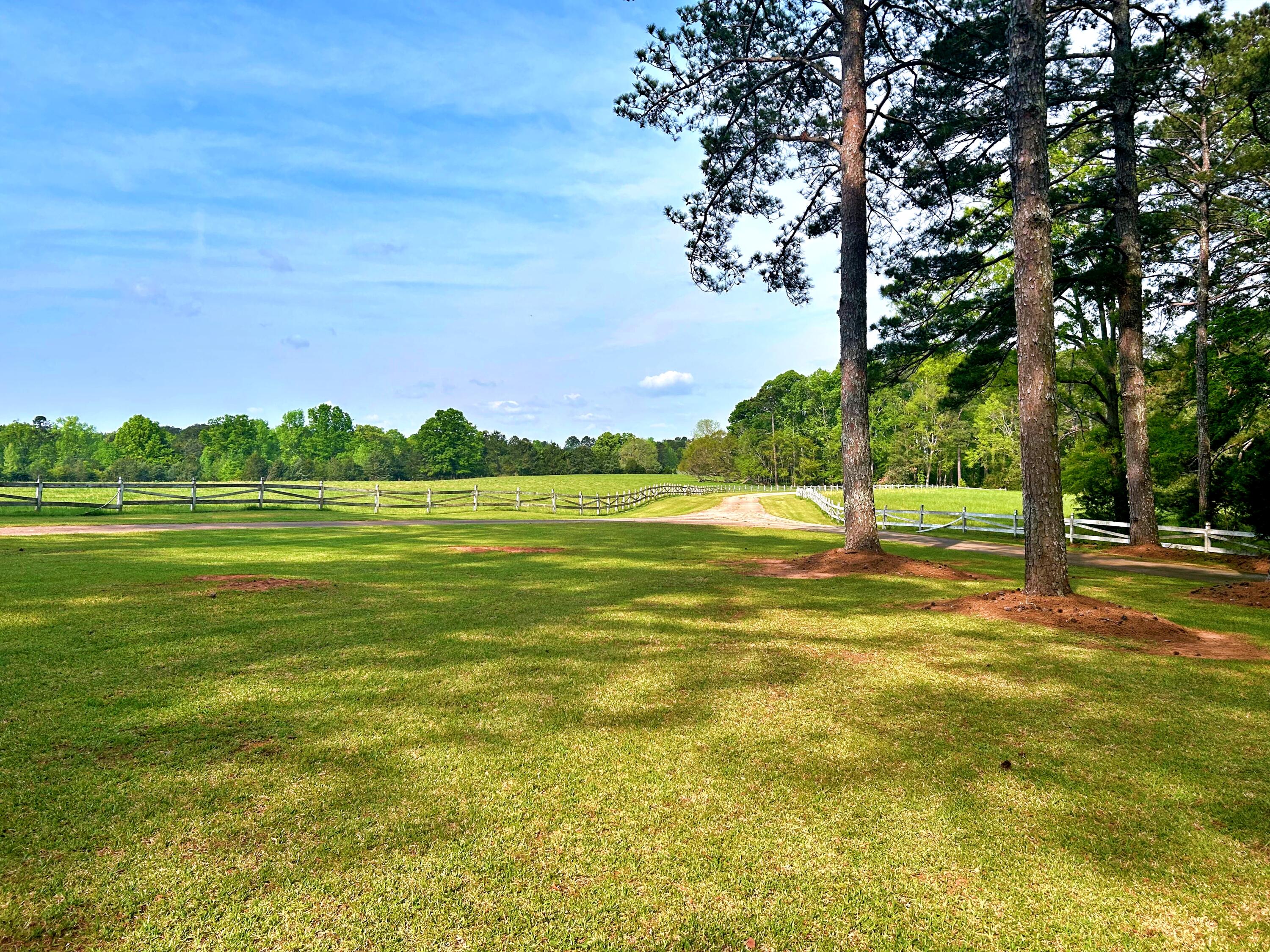 2221 Deadfall Road West Greenwood, SC 29649 - Photo 55 of 60 batch_IMG_0501
