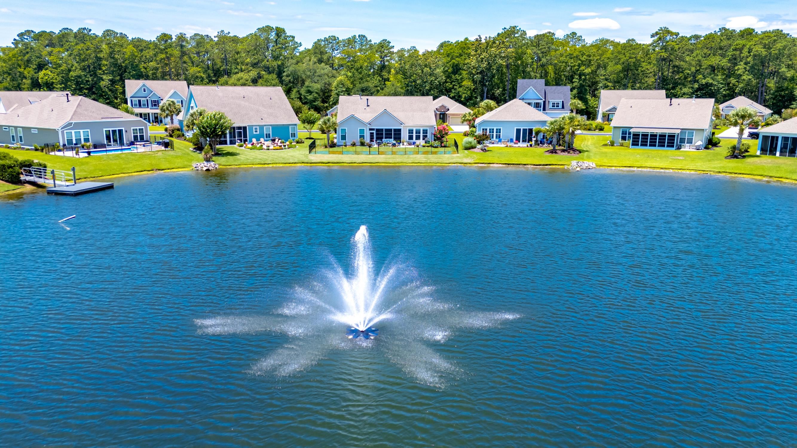 441 Hyacinth Loop Murrells Inlet, SC 29576 - Photo 56 of 74