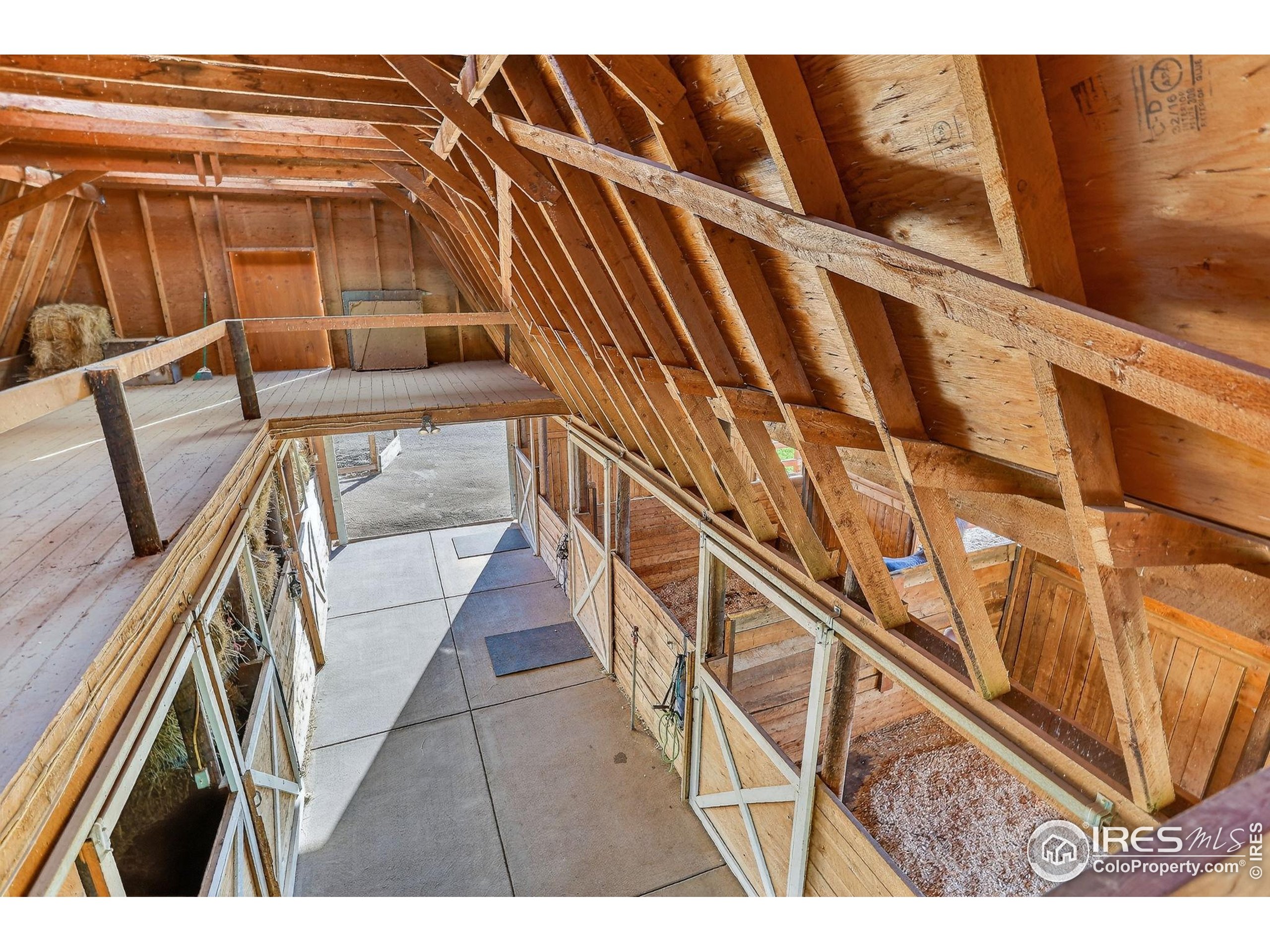 3625 Nimbus Road Longmont, CO 80503 - Photo 26 of 48 a view of entryway