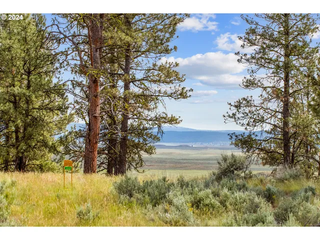 a view of a yard in front of the house