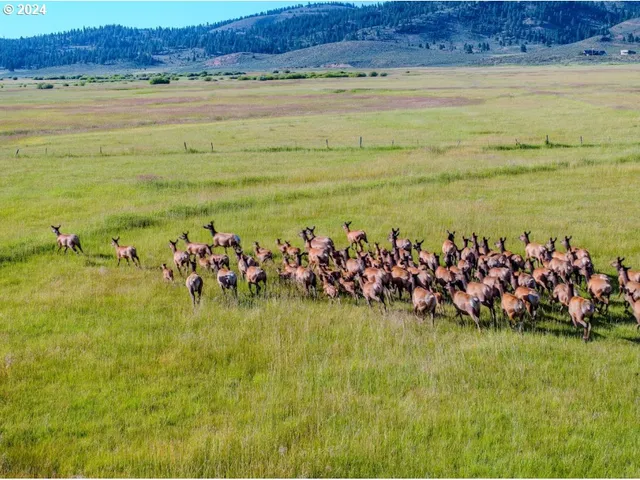 a view of a city with mountains in the background