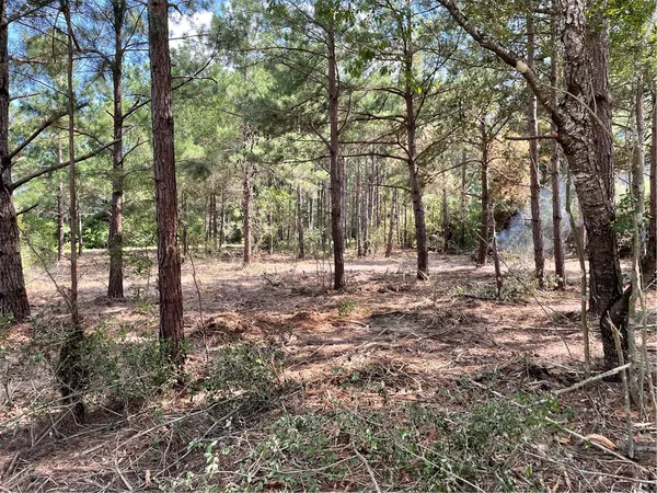 a view of outdoor space with lots of trees