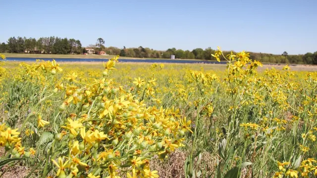 $13,500 | Tbd Kingston Lane, Hilltop Lakes, TX 77871