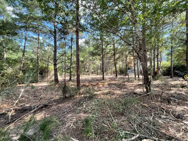 $13,500 | Tbd Kingston Lane, Hilltop Lakes, TX 77871