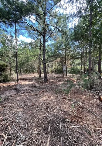 $13,500 | Tbd Kingston Lane, Hilltop Lakes, TX 77871