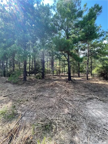 $13,500 | Tbd Kingston Lane, Hilltop Lakes, TX 77871