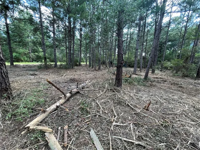 $13,500 | Tbd Kingston Lane, Hilltop Lakes, TX 77871