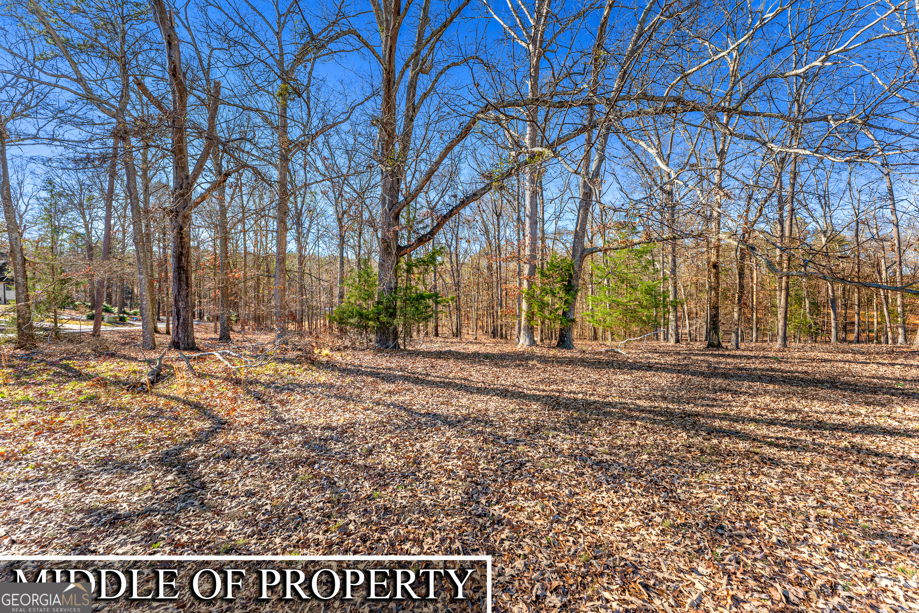 Lot 8 Majestic Shores Road Hartwell, GA 30643 - Photo 6 of 9 a view of a yard with trees