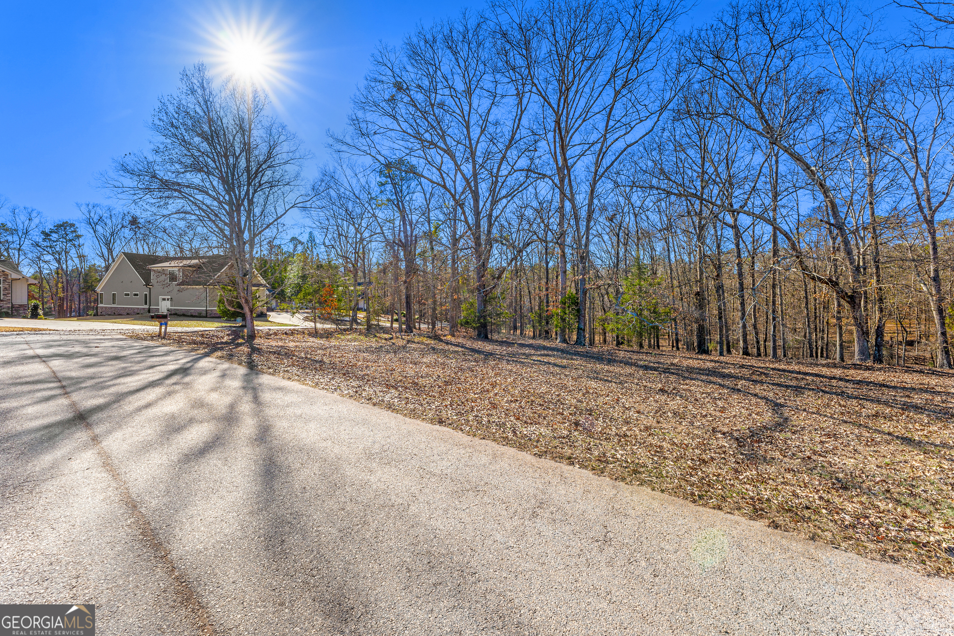 Lot 8 Majestic Shores Road Hartwell, GA 30643 - Photo 7 of 9 a backyard of a house with trees
