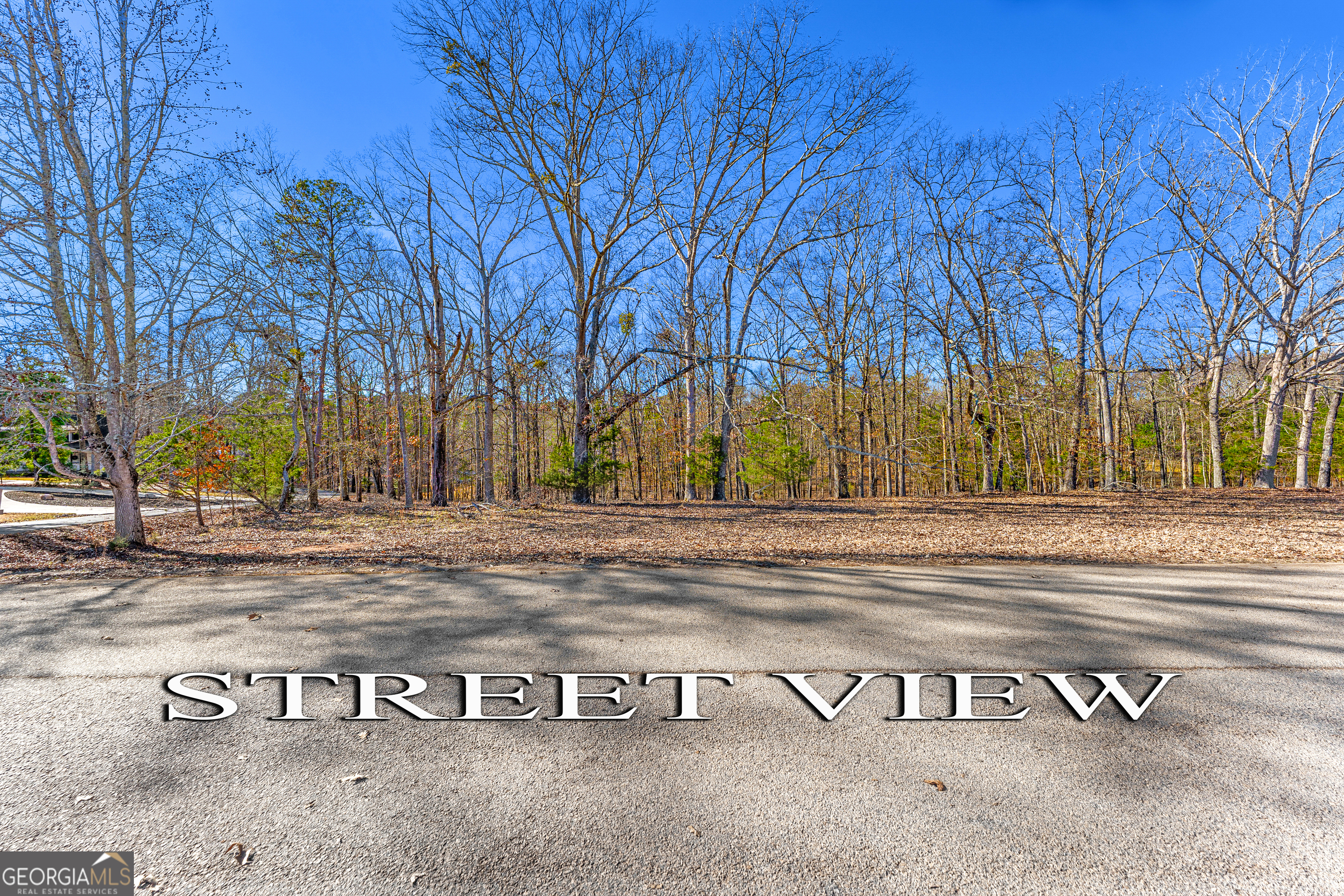 Lot 8 Majestic Shores Road Hartwell, GA 30643 - Photo 8 of 9 a view of park