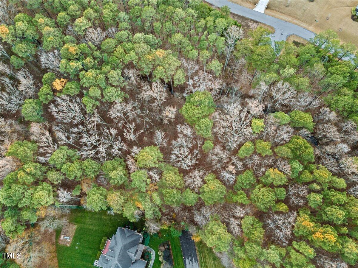 0 Tryon Road Raleigh, NC 27606 - Photo 9 of 17 a backyard of a house with lots of green space