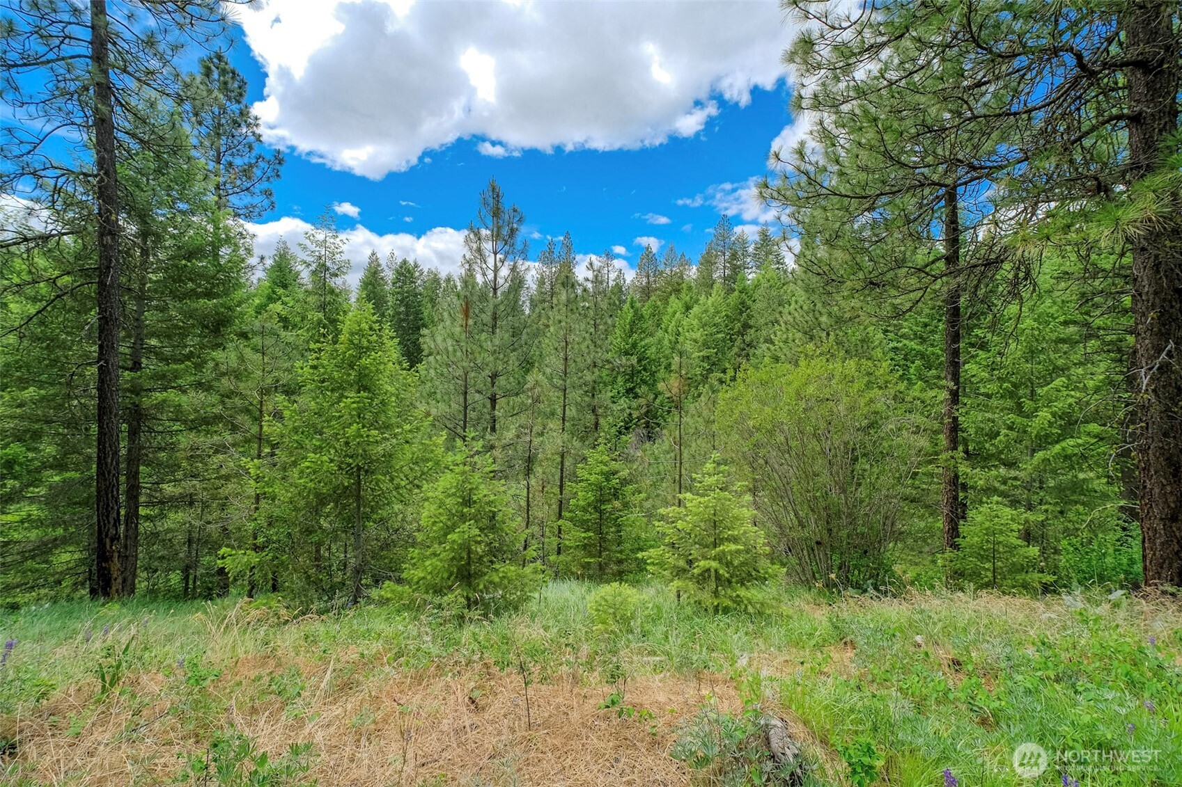 6264 Brisbois Road Fruitland, WA 99129 - Photo 5 of 8