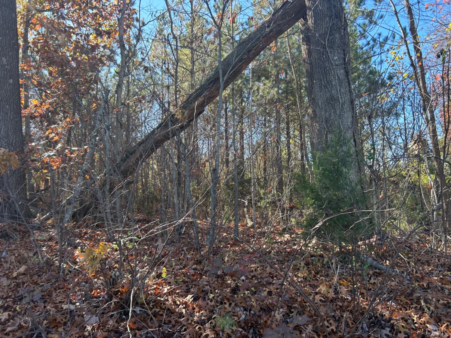 0 South Amherst Highway Monroe, VA 24574 - Photo 2 of 3