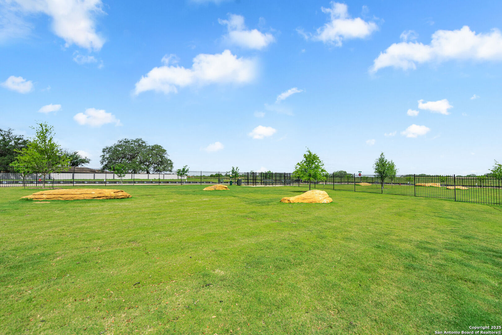 16021 Stratford Cove Lytle, TX 78052 - Photo 29 of 30 a view of a golf course with a lake