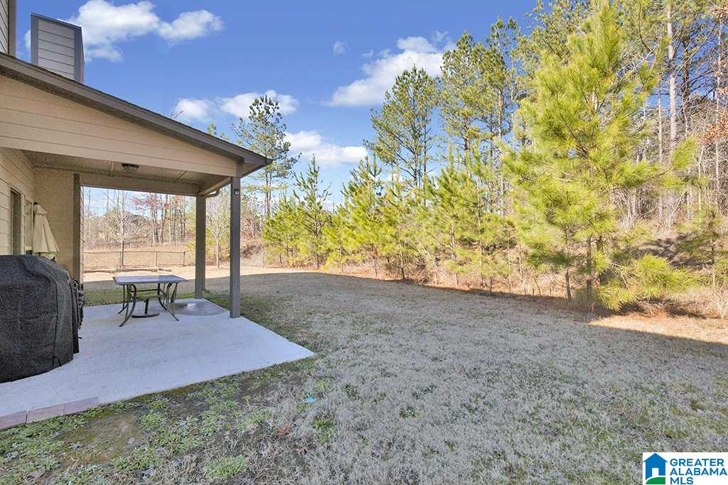 228 Perthshire Way Pelham, AL 35124 - Photo 20 of 20