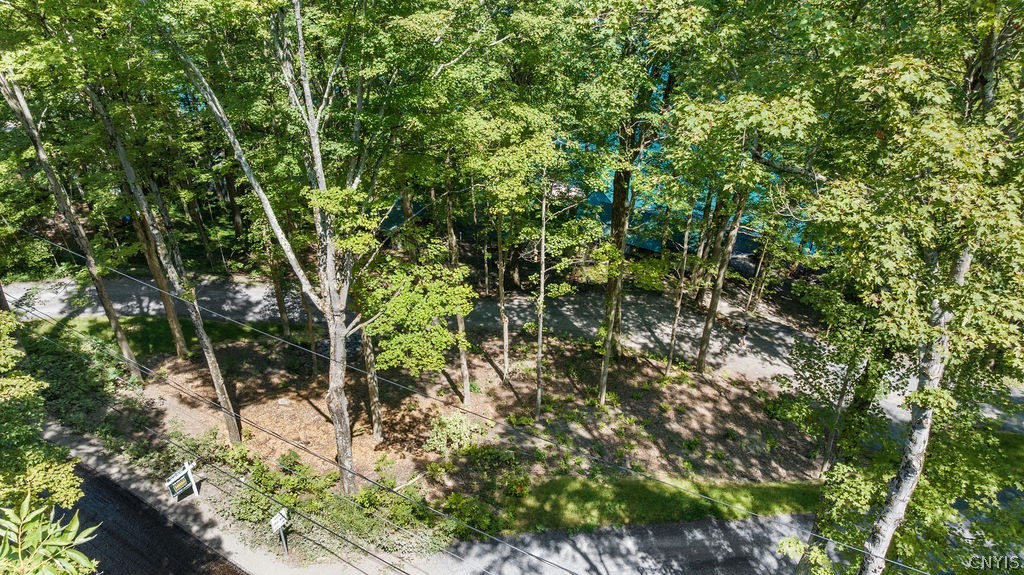 126 Ridings Drive Homer, NY 13077 - Photo 35 of 43 Aerial - View through trees