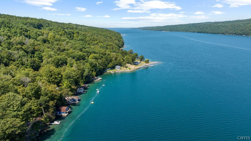 126 Ridings Drive Homer, NY 13077 - Photo 42 of 43 Aerial - shore view