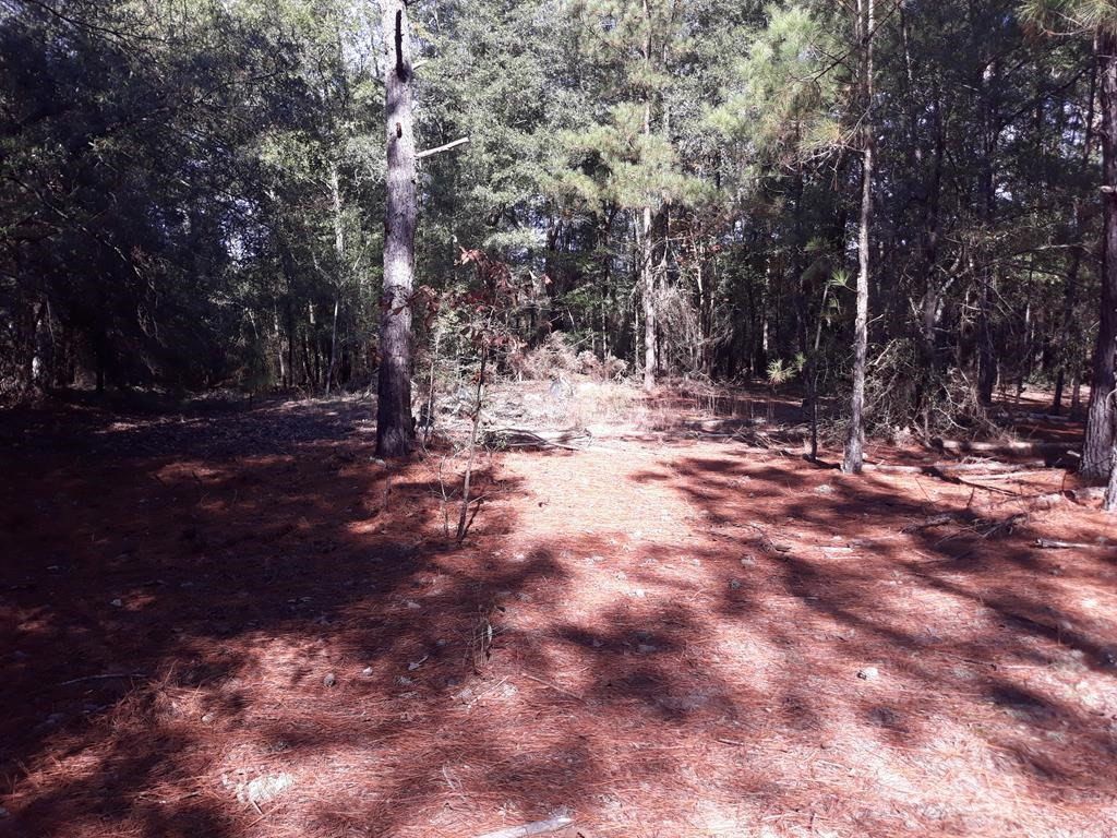 5 Cricket Tree Road Salley, SC 29137 - Photo 2 of 8