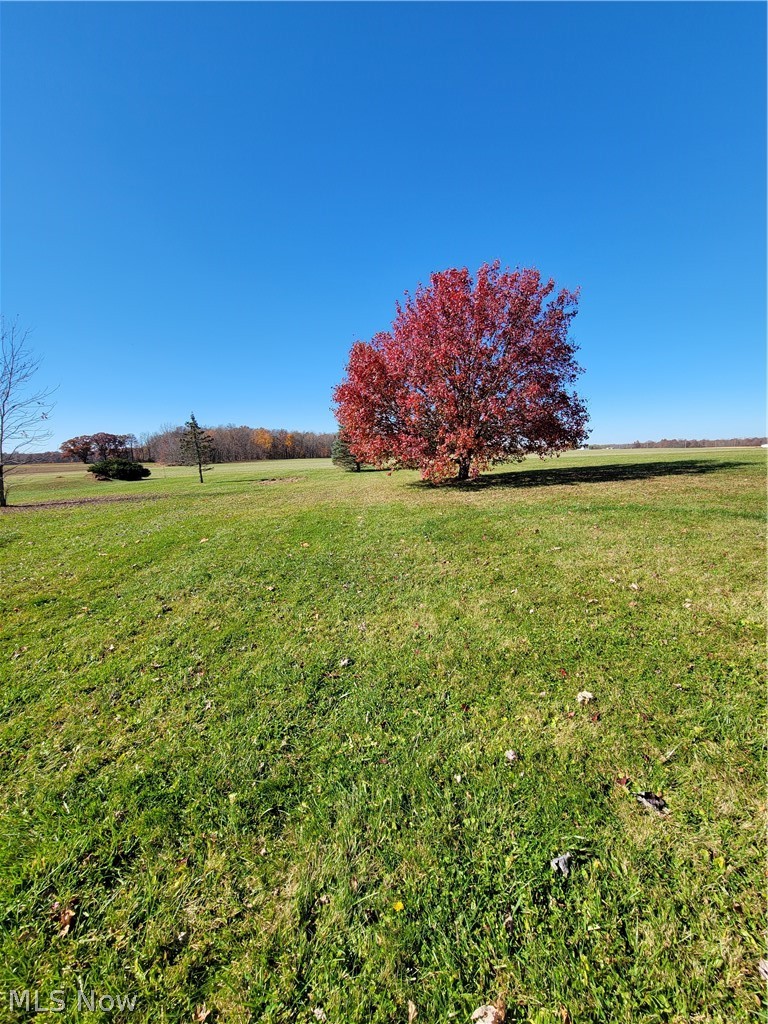 17276 Quarry Road Wellington, OH 44090 - Photo 33 of 35 Serene Back yard