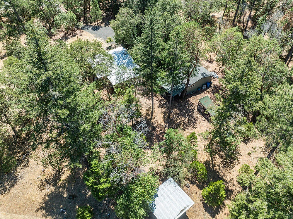 116 Upper Powell Creek Road Williams, OR 97544 - Photo 42 of 48 43