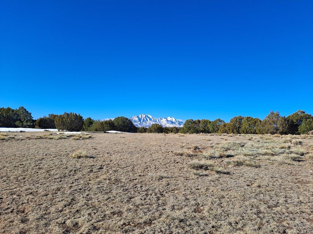 Tbd Rowell Road Walsenburg, CO 81089 - Photo 2 of 12 Gallery Image 2