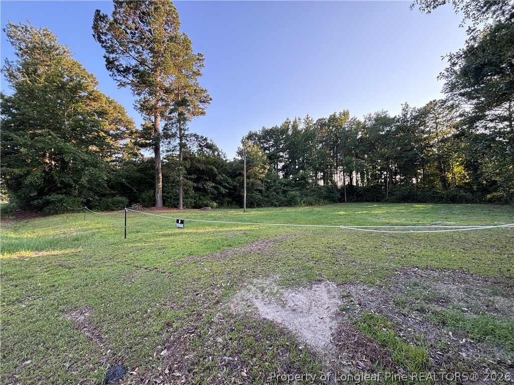 595 Shaw Road St. Pauls, NC 28384 - Photo 6 of 29