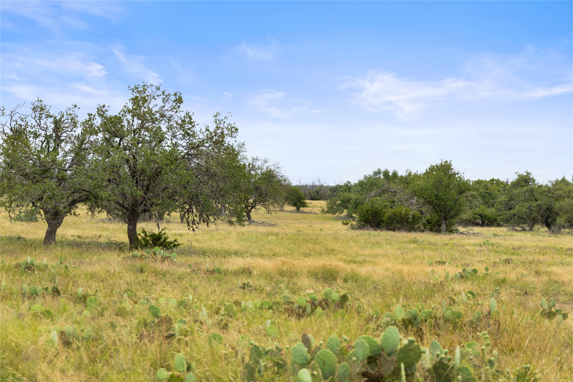 3049 Reservation Road Harper, TX 78631 - Photo 33 of 40 a large yard with trees in the background
