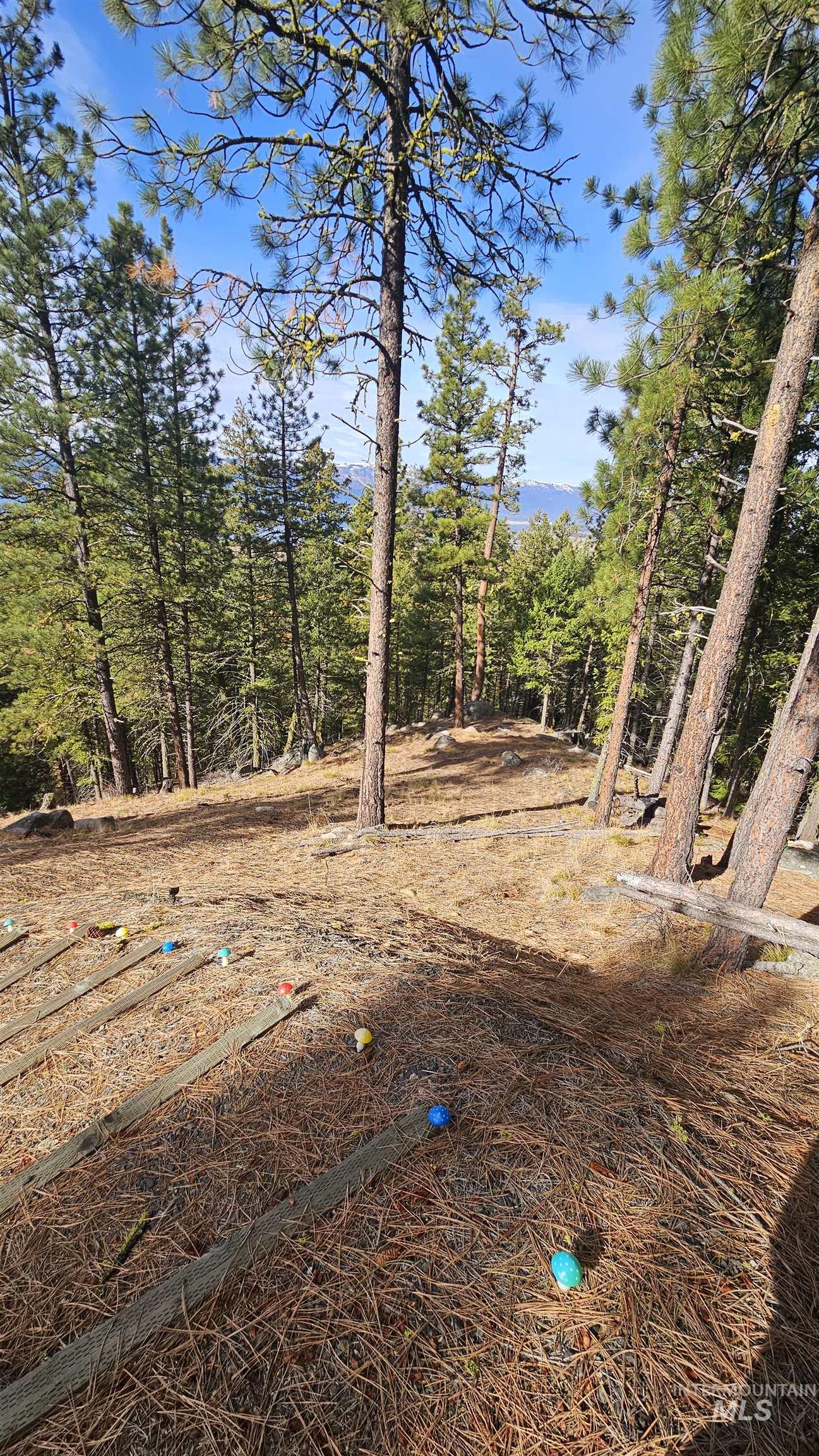 1618 Crown Point Parkway Cascade, ID 83611 - Photo 22 of 47