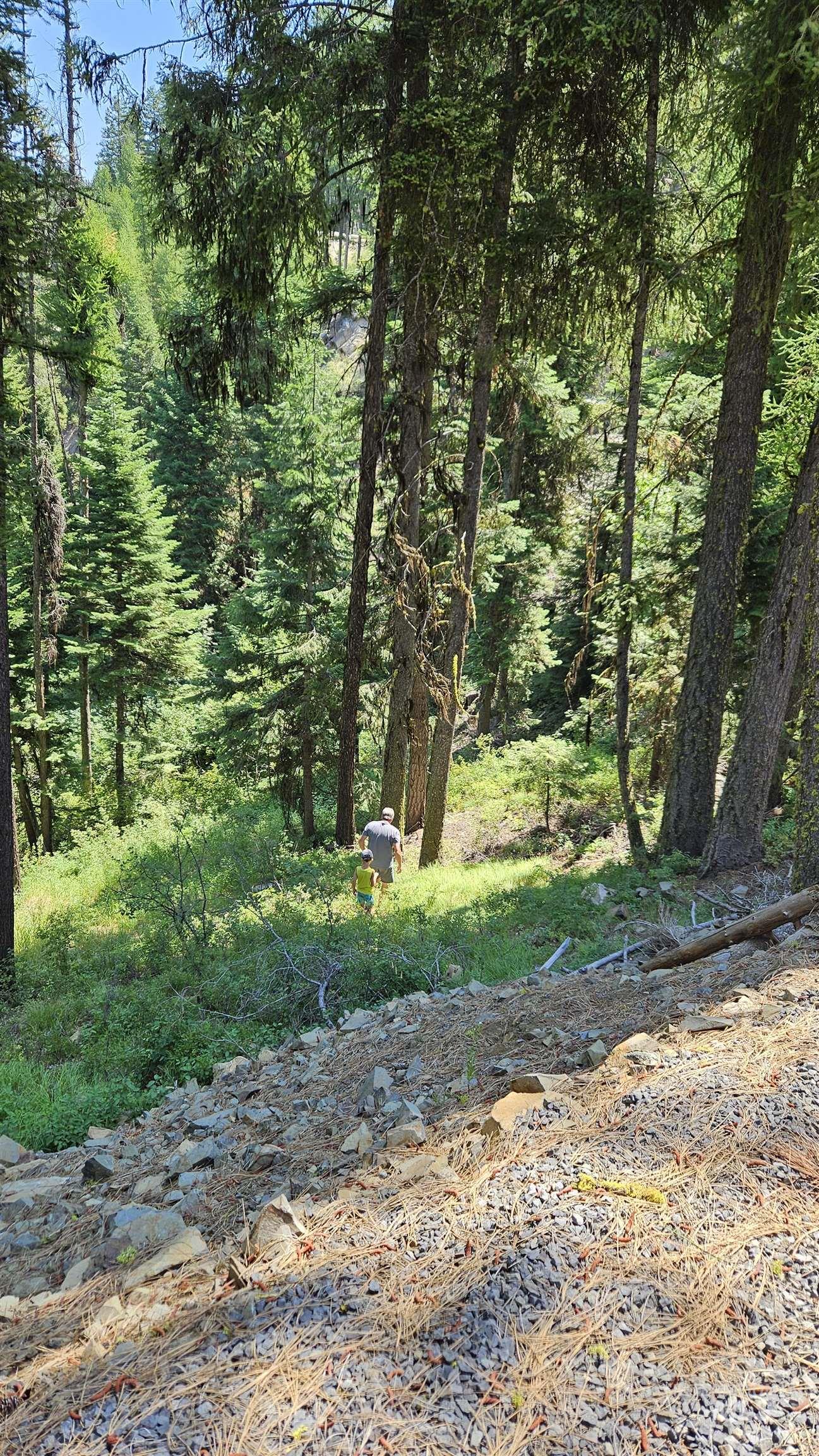 1618 Crown Point Parkway Cascade, ID 83611 - Photo 38 of 47