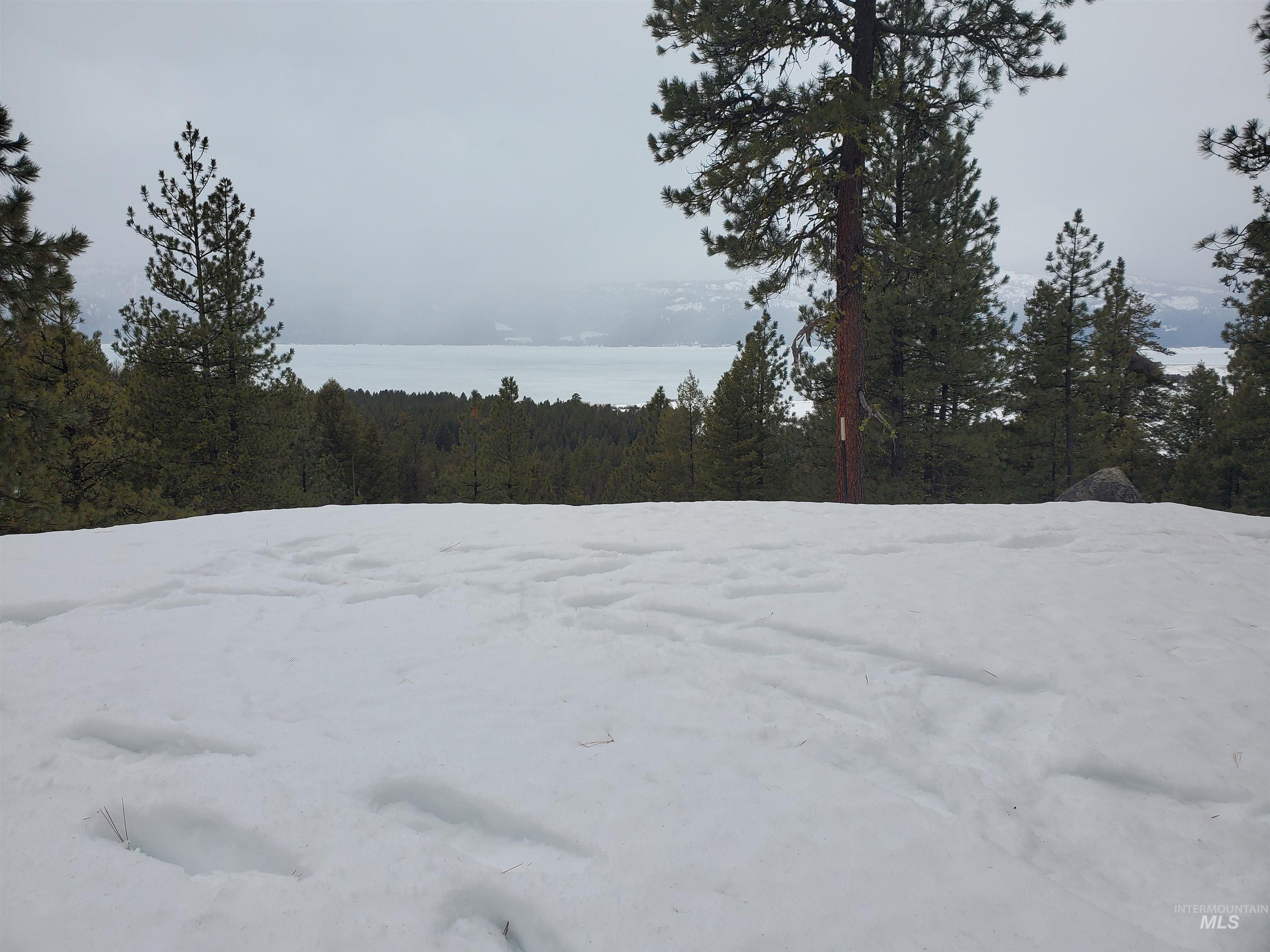 1618 Crown Point Parkway Cascade, ID 83611 - Photo 4 of 47