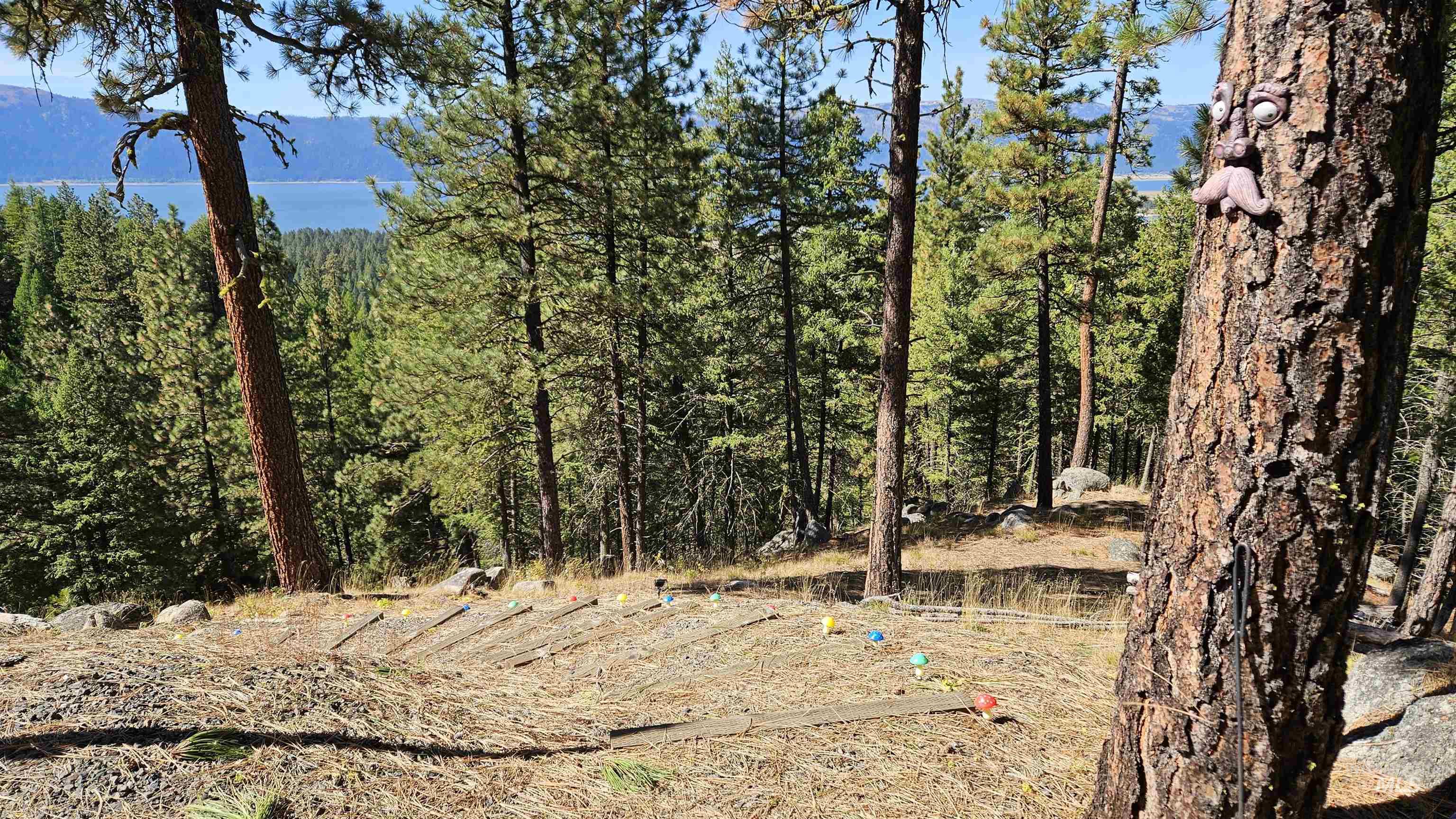 1618 Crown Point Parkway Cascade, ID 83611 - Photo 9 of 47