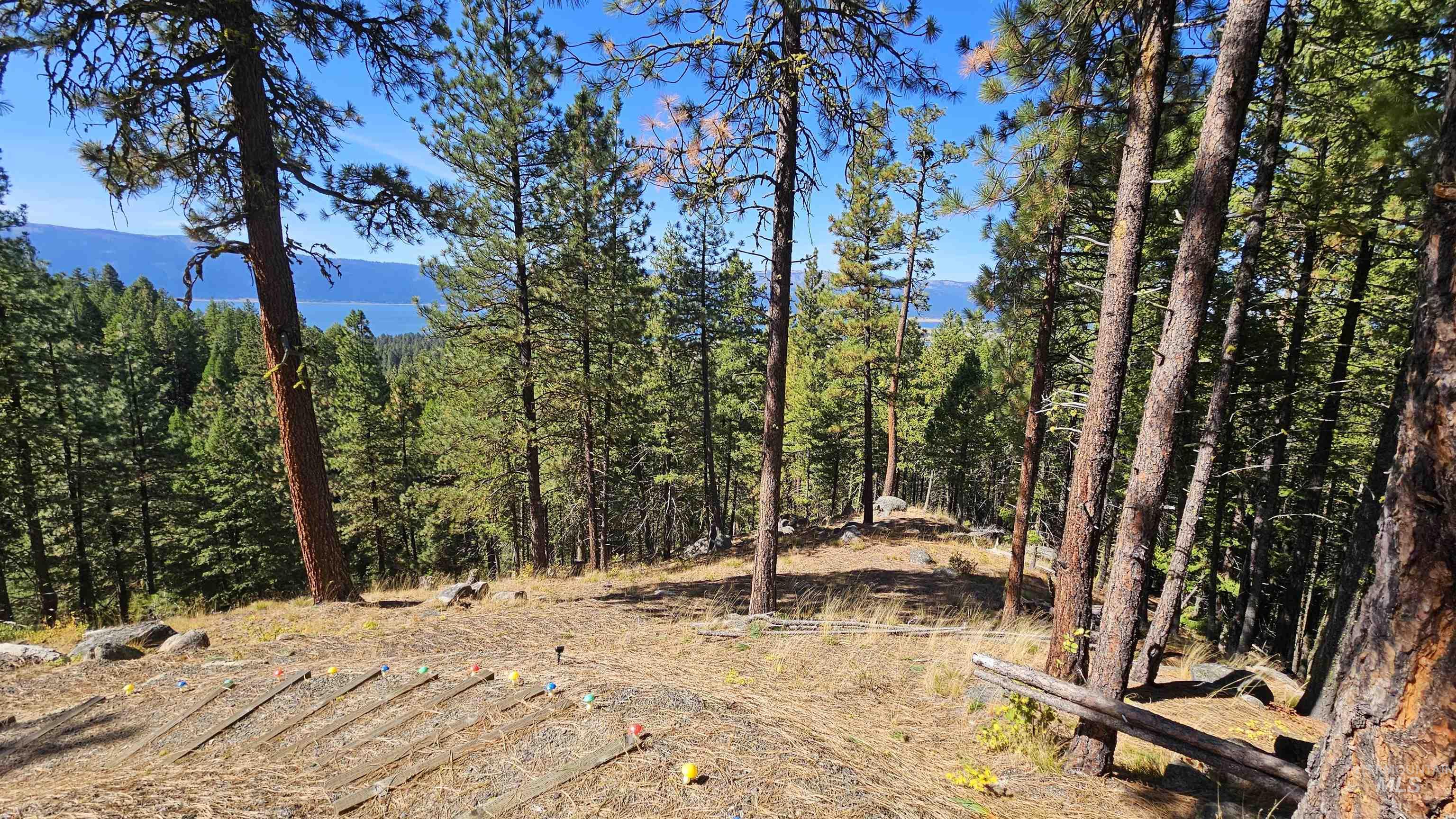 1618 Crown Point Parkway Cascade, ID 83611 - Photo 10 of 47