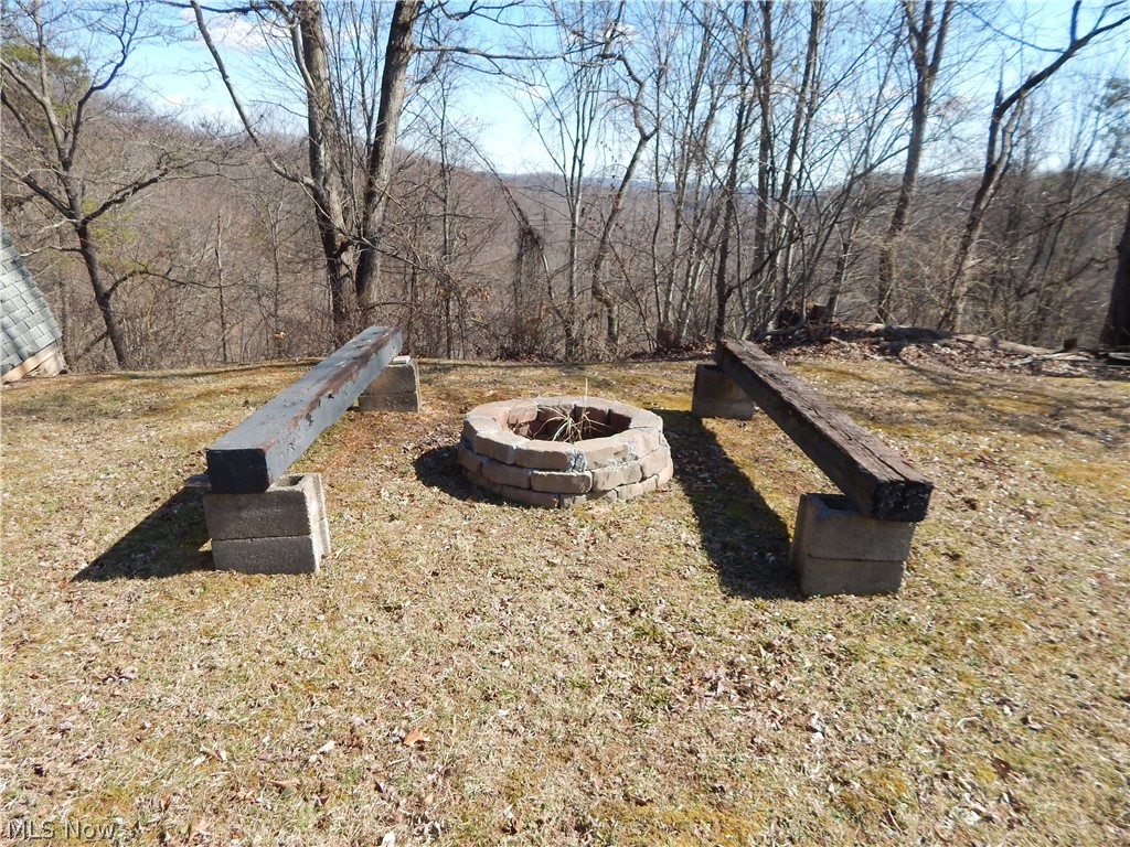 Sheep Run Road Cairo, WV 26337 - Photo 14 of 18
