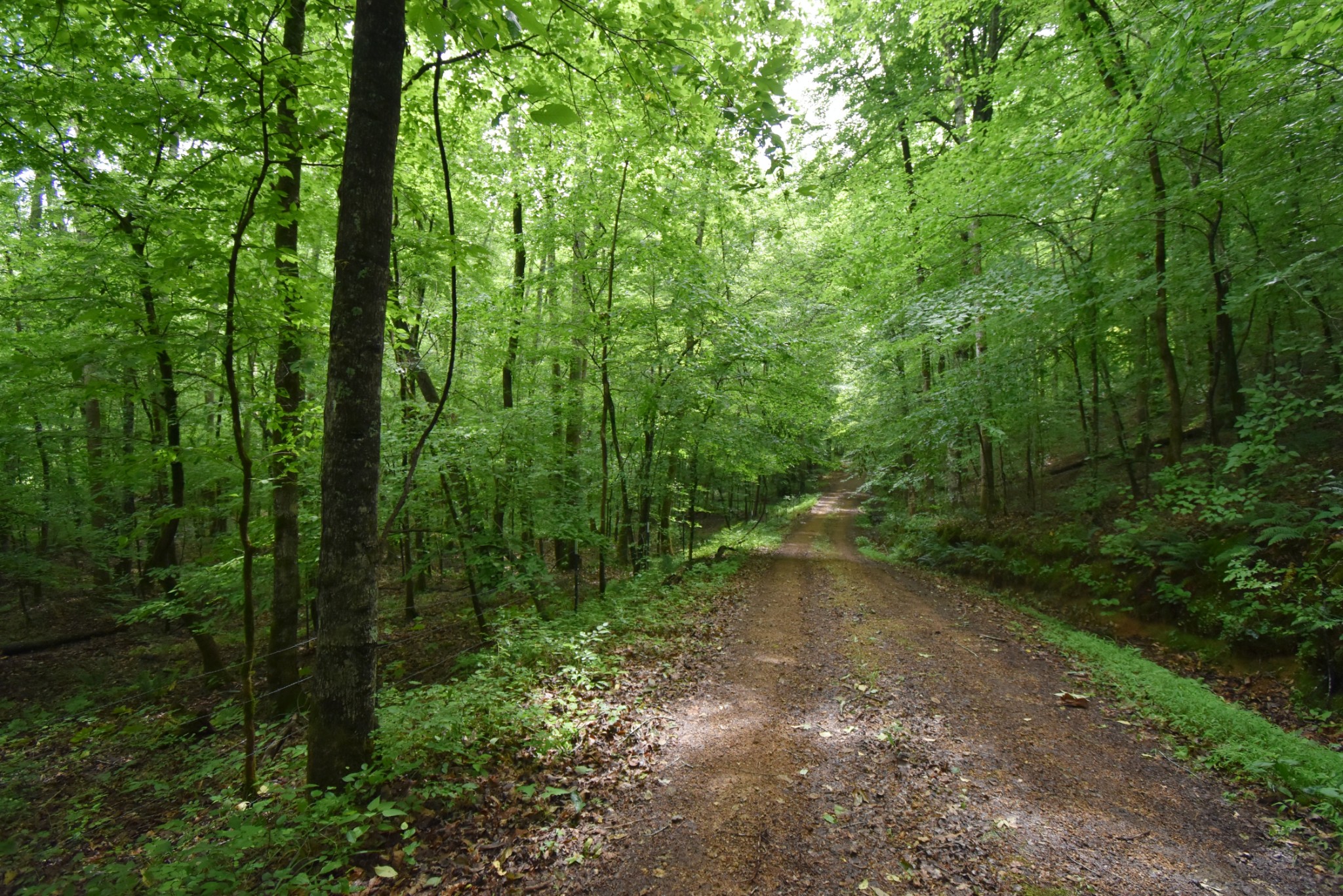 1085 Chapel Farm Road Linden, TN 37096 - Photo 54 of 66 Gallery Image 54