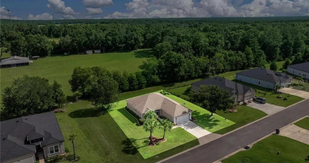19423 Southwest 77th Loop Dunnellon, FL 34432 - Photo 36 of 48