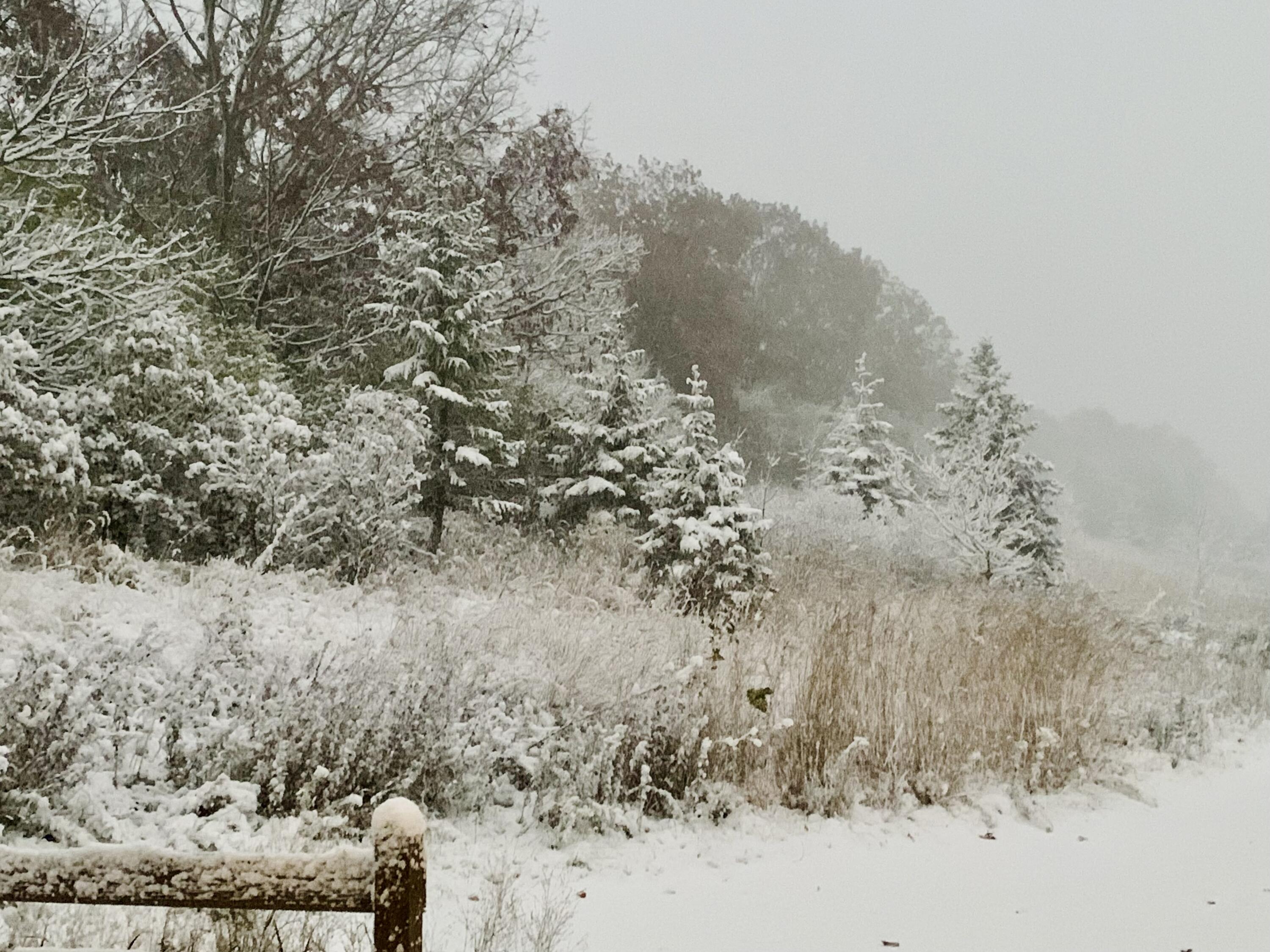 15330 Huff Way Brookfield, WI 53005 - Photo 36 of 56 IMG_4926