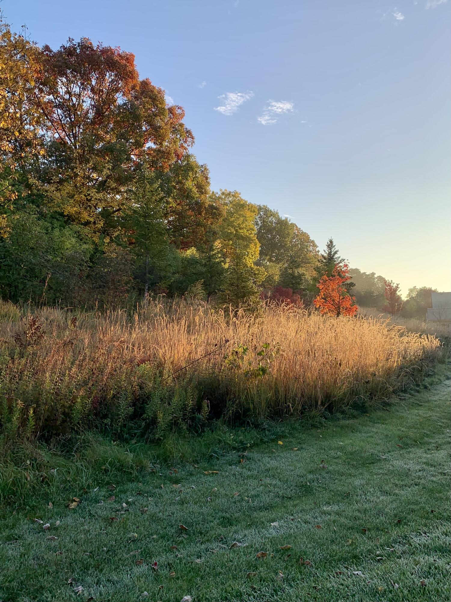 15330 Huff Way Brookfield, WI 53005 - Photo 38 of 56 IMG_4716