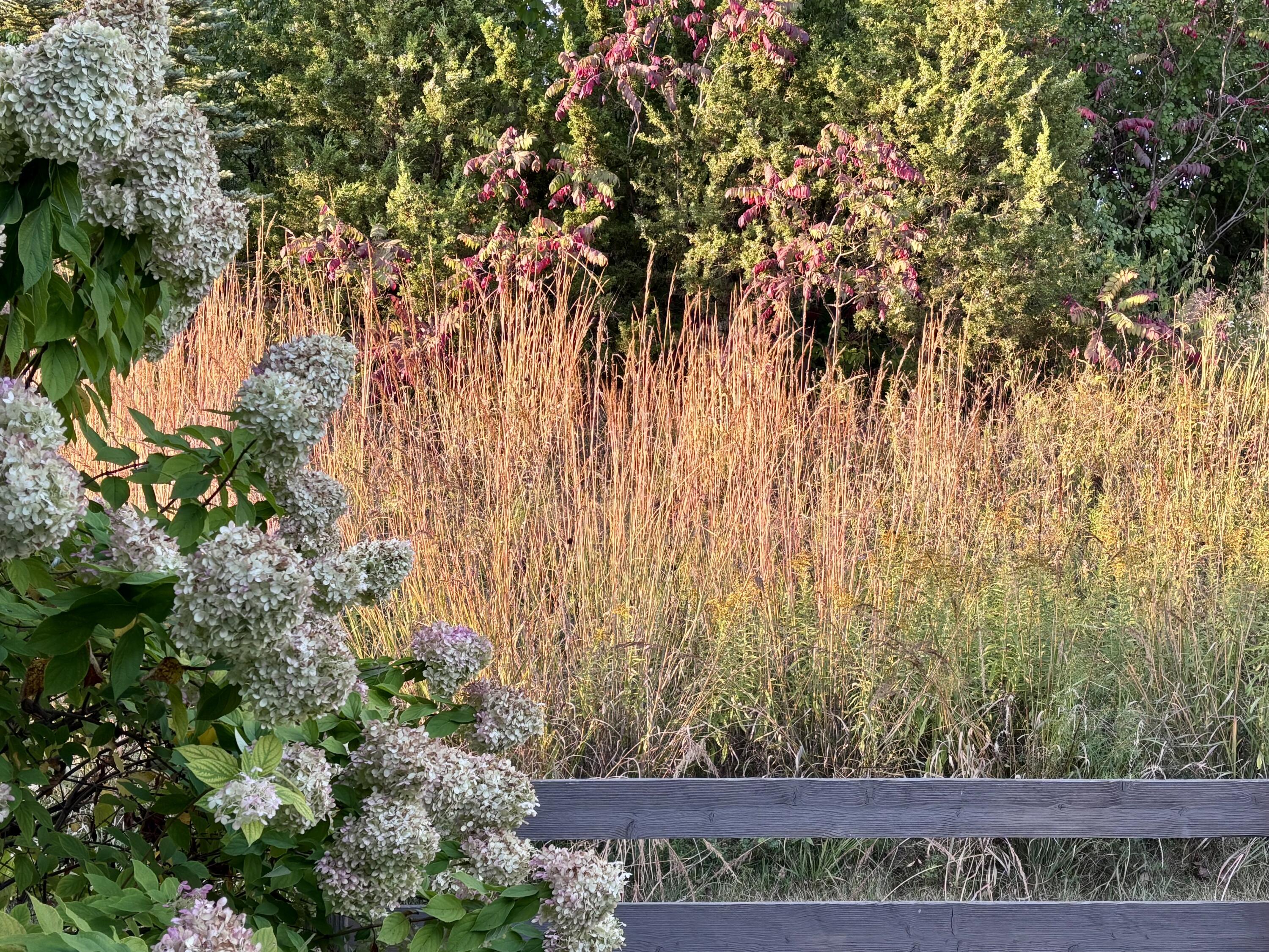 15330 Huff Way Brookfield, WI 53005 - Photo 39 of 56 IMG_1231