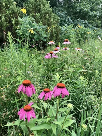 $585,000 | 15330 Huff Way, Brookfield, WI 53005