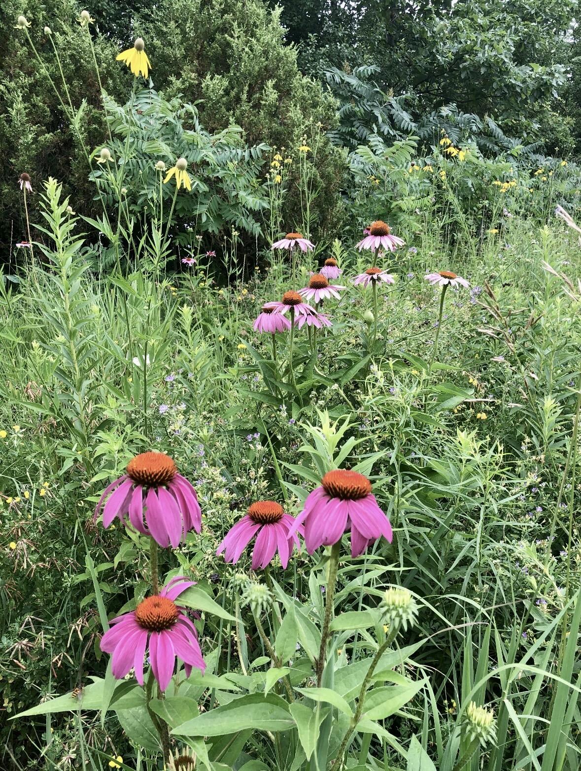 15330 Huff Way Brookfield, WI 53005 - Photo 40 of 56 IMG_2668