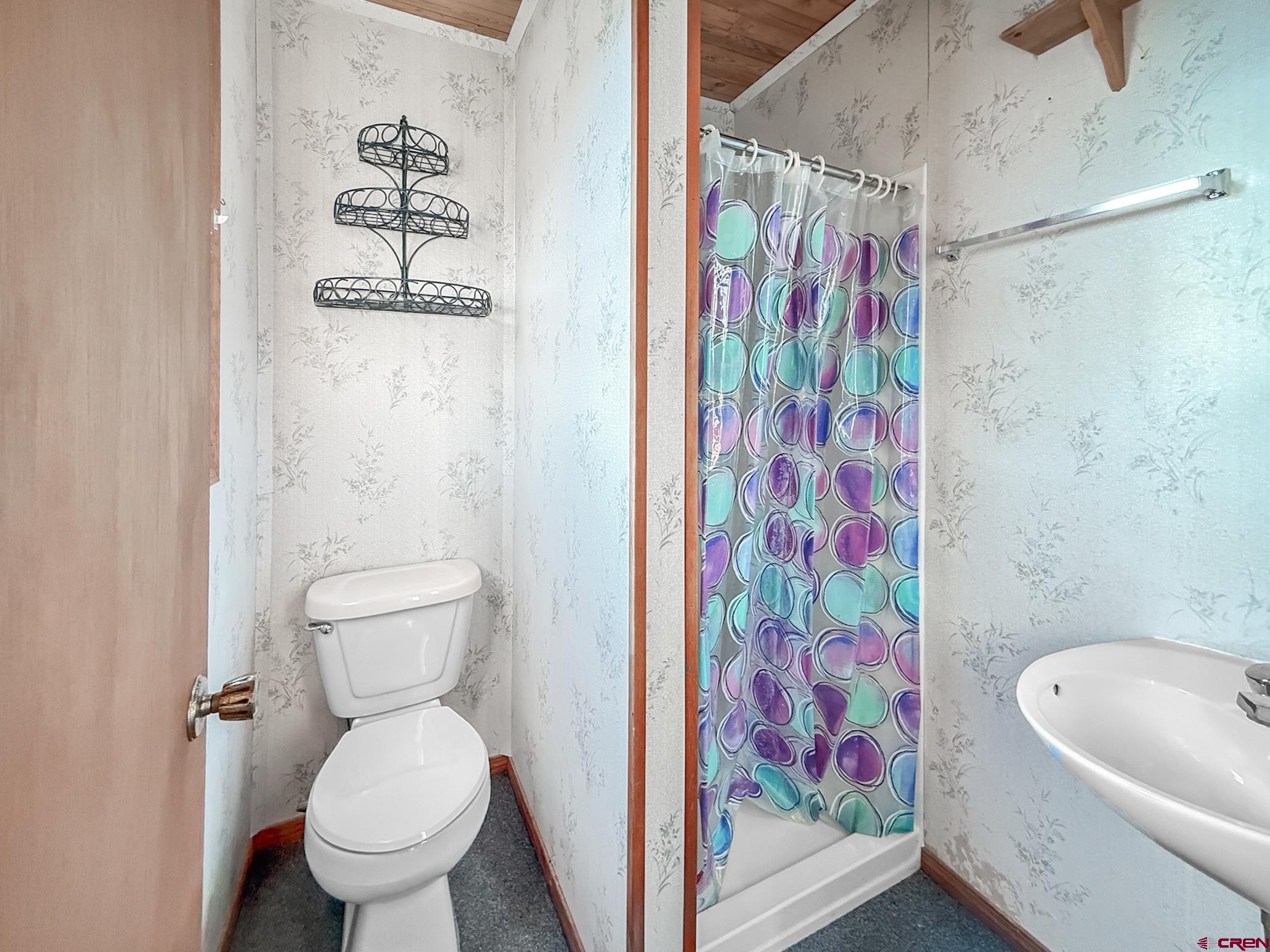 17343 Surface Creek Road Cedaredge, CO 81413 - Photo 19 of 45 a bathroom with a toilet and shower curtain