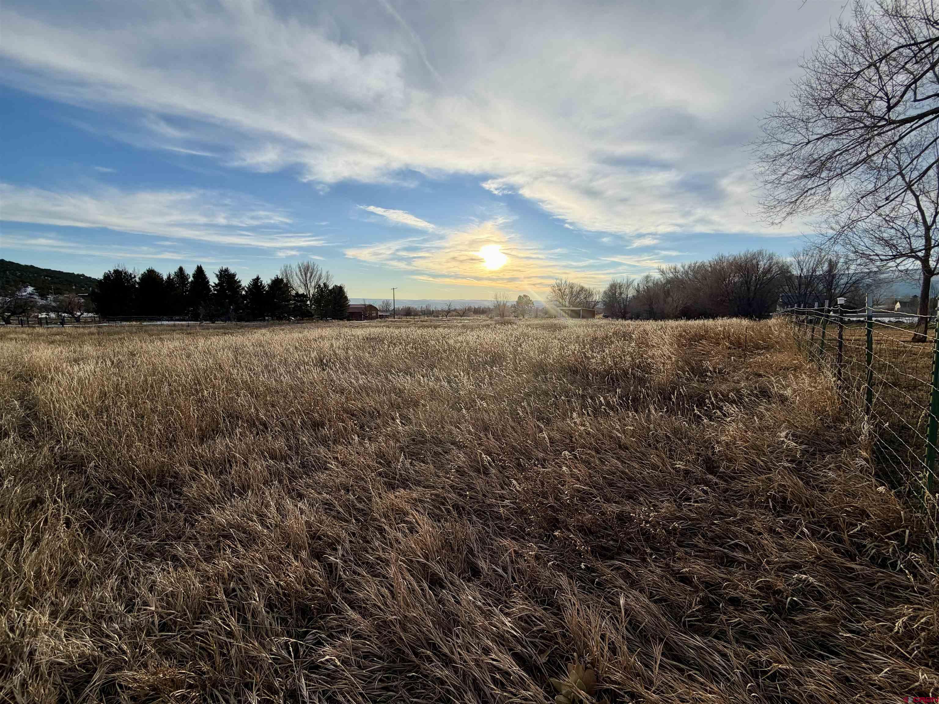 17343 Surface Creek Road Cedaredge, CO 81413 - Photo 26 of 45 a view of an ocean
