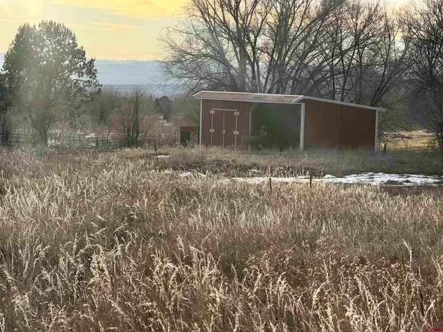 a view of a yard with lots of trees