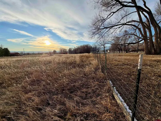 a view of a yard with wooden fence